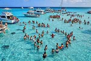 Archivo:Stingray sandbar-1001