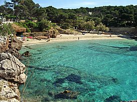 Strand von Cala Gat.jpg