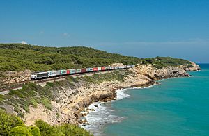 Archivo:Tren en la costa de Vilanova i la Geltrú