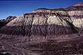 USA June1997 Petrified-Forest Sediments Arizona