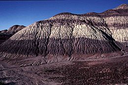 Archivo:USA June1997 Petrified-Forest Sediments Arizona
