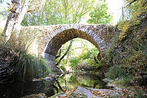 Archivo:Vallejimeno Puente Romano