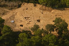 Vista aérea parcial del yacimiento de la Font de la Canya.jpg