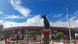 Vista del Coliseo de Toros.jpg