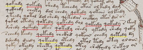 Voynich Manuscript f78r repeated words