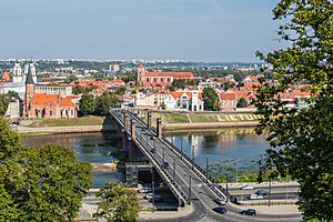 Vytautas the Great Bridge from hill, Kaunas, Lithuania - Diliff.jpg