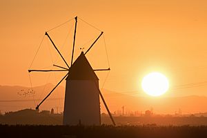 Archivo:Windmühle bei Torre Pacheco - 52476806321