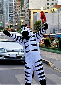 Zebra La Paz.jpg