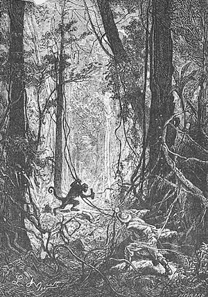 Archivo:'Eight Hundred Leagues on the Amazon' by Léon Benett 05