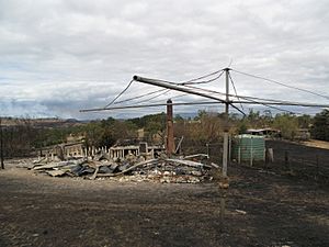 Archivo:09 vic bushfire damage Yarra Glen 03