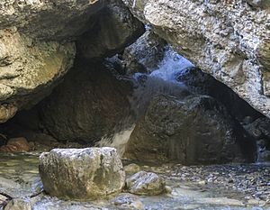 Archivo:1. Barranc de Castrocit (Serra de Sis-Beranui)