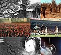 1966 Events Collage 2.0