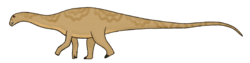 Agustinia reconstruction.png