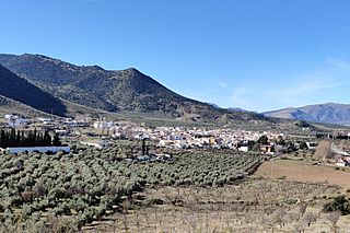 Arbuniel 24J 02.jpg