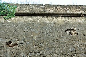 Archivo:BA-R.A. Semibaluarte de San Antonio 03