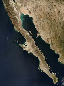 Archivo:Baja peninsula (mexico) 250m