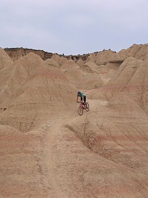 Archivo:Bardenas Reales de Navarra 3