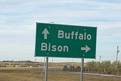 Buffalo Bison sign near Buffalo SD.jpg