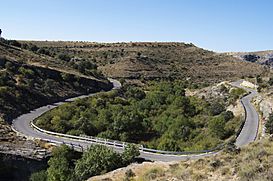 Carretera - panoramio (2).jpg