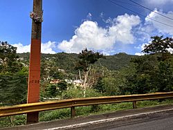 Casas en la montaña en Celada, Gurabo, Puerto Rico.jpg