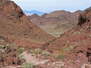 Archivo:Death Valley Jubilee Mountain gully 1