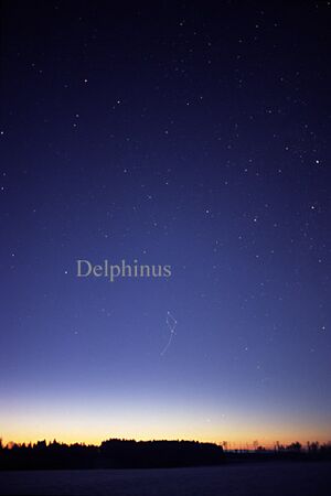 Archivo:DelphinusCC