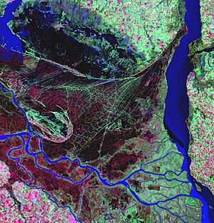Archivo:Delta del Río Paraná landsat art parana lrg