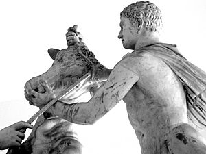 Archivo:Dettaglio del Toro Farnese