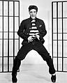 Elvis Presley Jailhouse Rock2