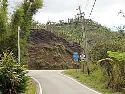 Escena cotidiana en la Carretera PR-503 Sur interseccion con la Carretera PR-505, Bo. San Patricio, Ponce, Puerto Rico, mirando al sureste (DSC01645-2).jpg