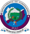 Escudo de Pulí
