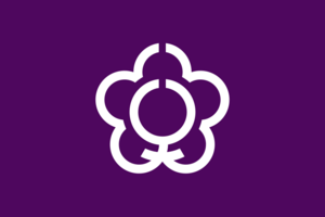 Archivo:Flag of Tenri, Nara