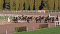 FranceNormandieVireHippodromeDepartVolte