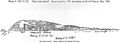 Henrietta Island;h92128