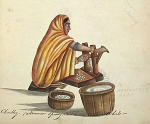 Archivo:Indian woman gining cotton