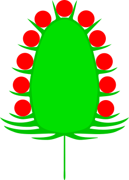 Koepfchen (inflorescence)