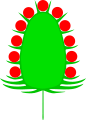 Koepfchen (inflorescence)