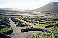 Lanzarote LaGeria