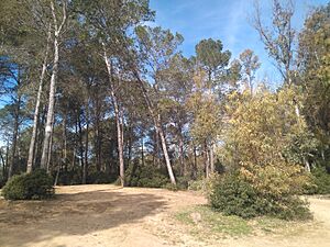 Archivo:Las Aguilillas (Estella del Marques)-Zona Norte-IMG 20210213 143156 681
