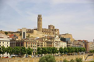 Archivo:Lleida - La Seu Vella (des de Cappont)