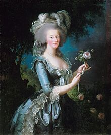 Louise Elisabeth Vigée-Lebrun - Marie-Antoinette dit « à la Rose » - Google Art Project.jpg