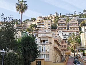 Archivo:Monte Sancha