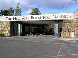 Archivo:NY Botanical Garden