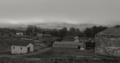 Orea en blanco y negro