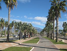 Paseo de Palmeras, en Playa Granada