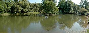 Archivo:Pegnitz-and-Rednitz-joining-to-Regnitz (south-view)