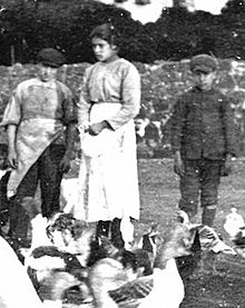Photograph of Saint Maria Goretti, 1902.jpg