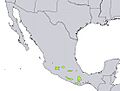 Pinus lawsonii range map