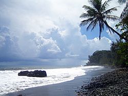 Archivo:Plage.sable.noir.Tahiti