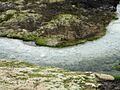 Purace National Parc (Columbia 6)